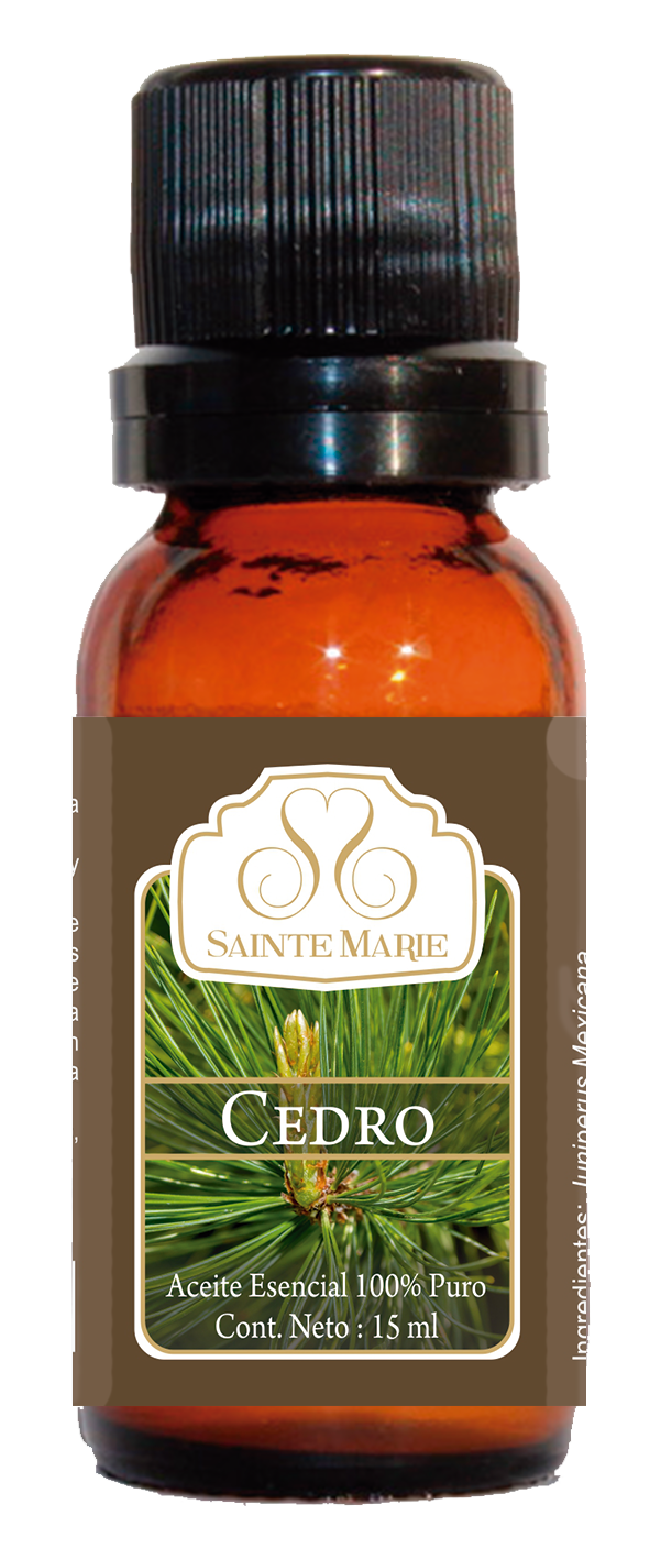 Aceite Esencial Cedro - Sainte Marie
